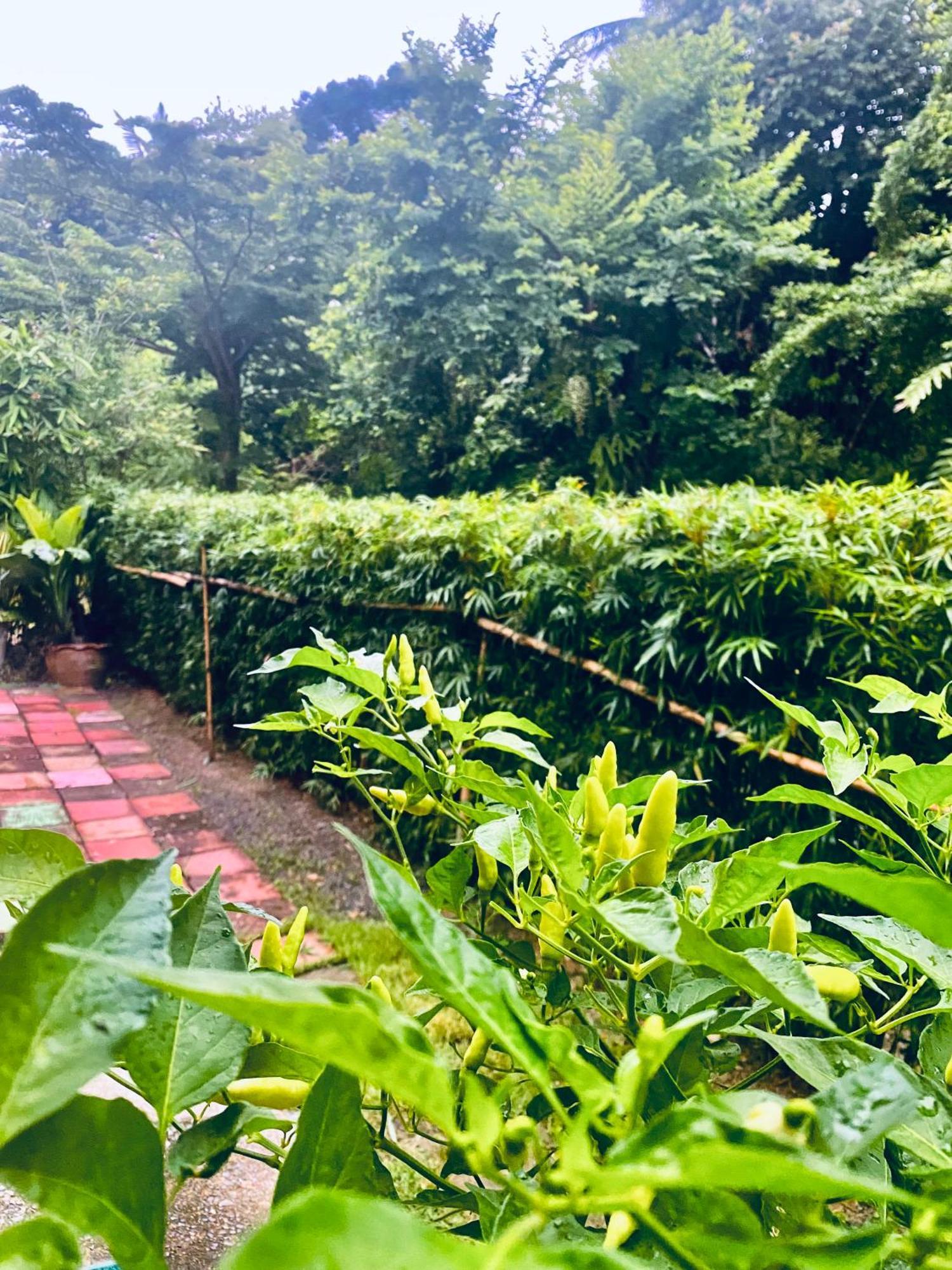 Baan Longhaad Hostel Koh Lanta Luaran gambar